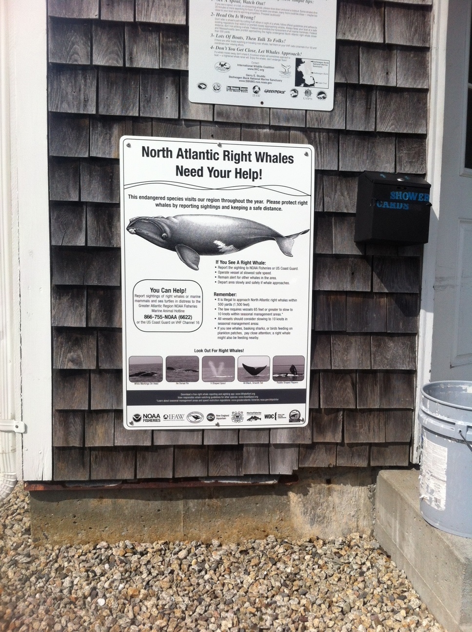 Sandwich_20140923_right_whale_sign_thanks_to_Dave_Whearty.jpg