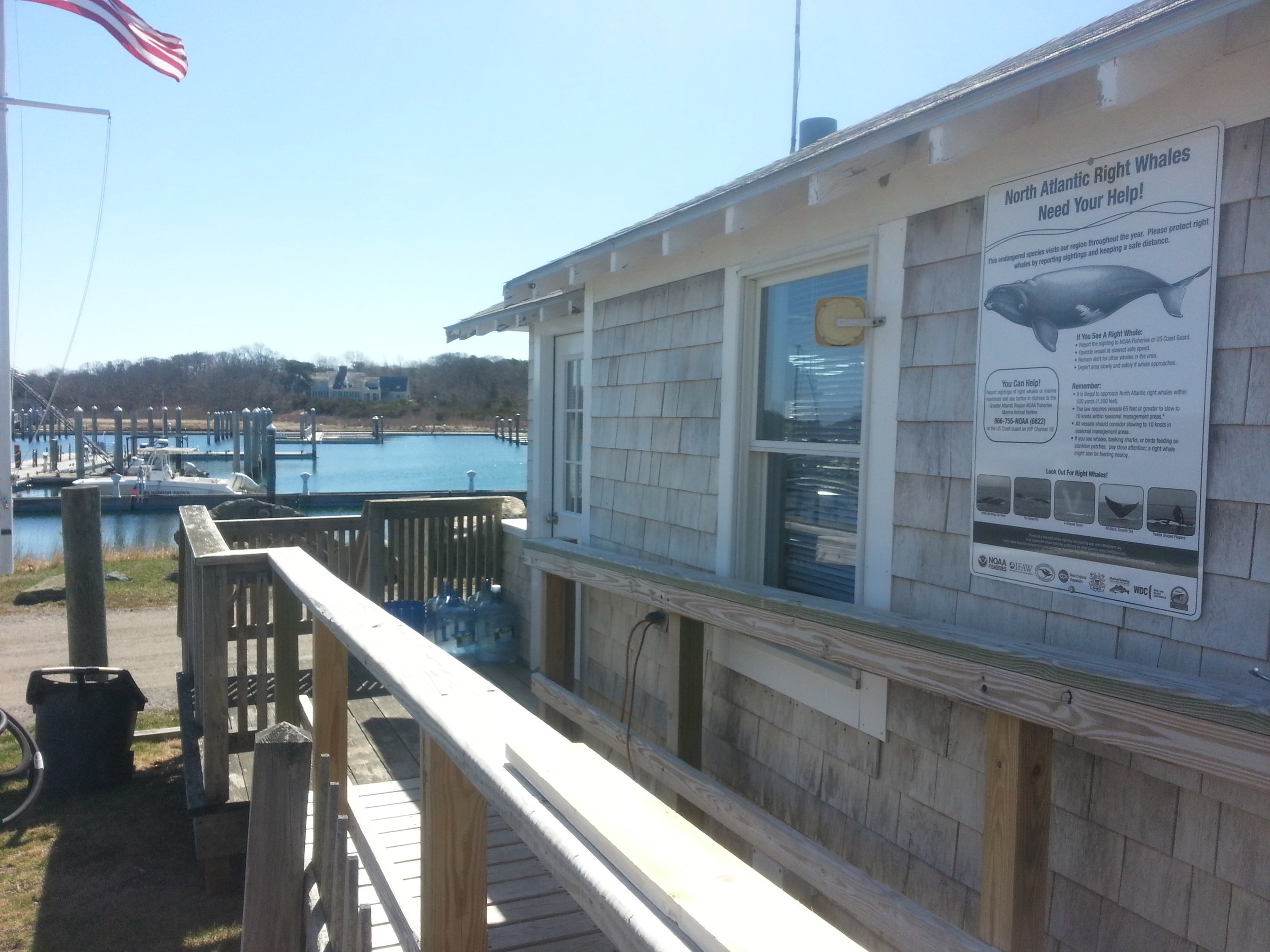 Right Whale Sign at Sesuit Harbor in Dennis, MA