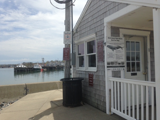 Right Whale Sign in Plymouth, MA