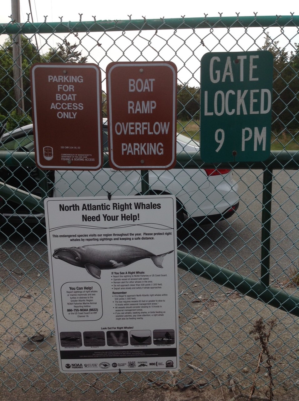 Right Whale Sign in Westport, MA