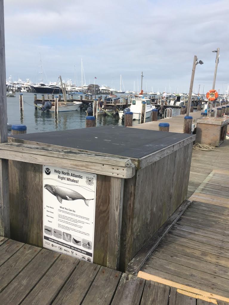 Town Pier on Nantucket, MA