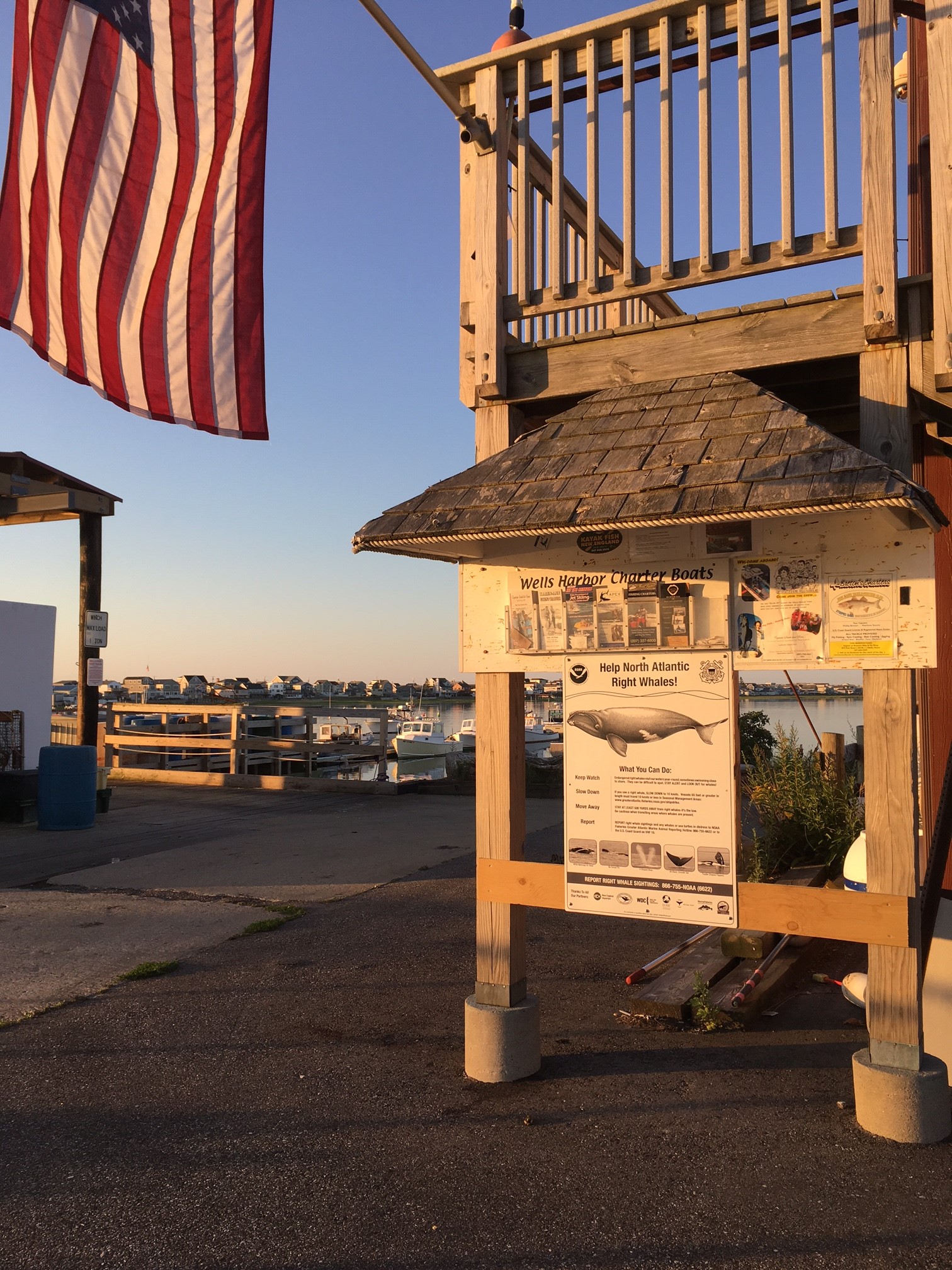 Wells-Harbor-Wells-ME-2016-08-29-thanks-NOAA-port-agent-Pam-Thames-3.jpg