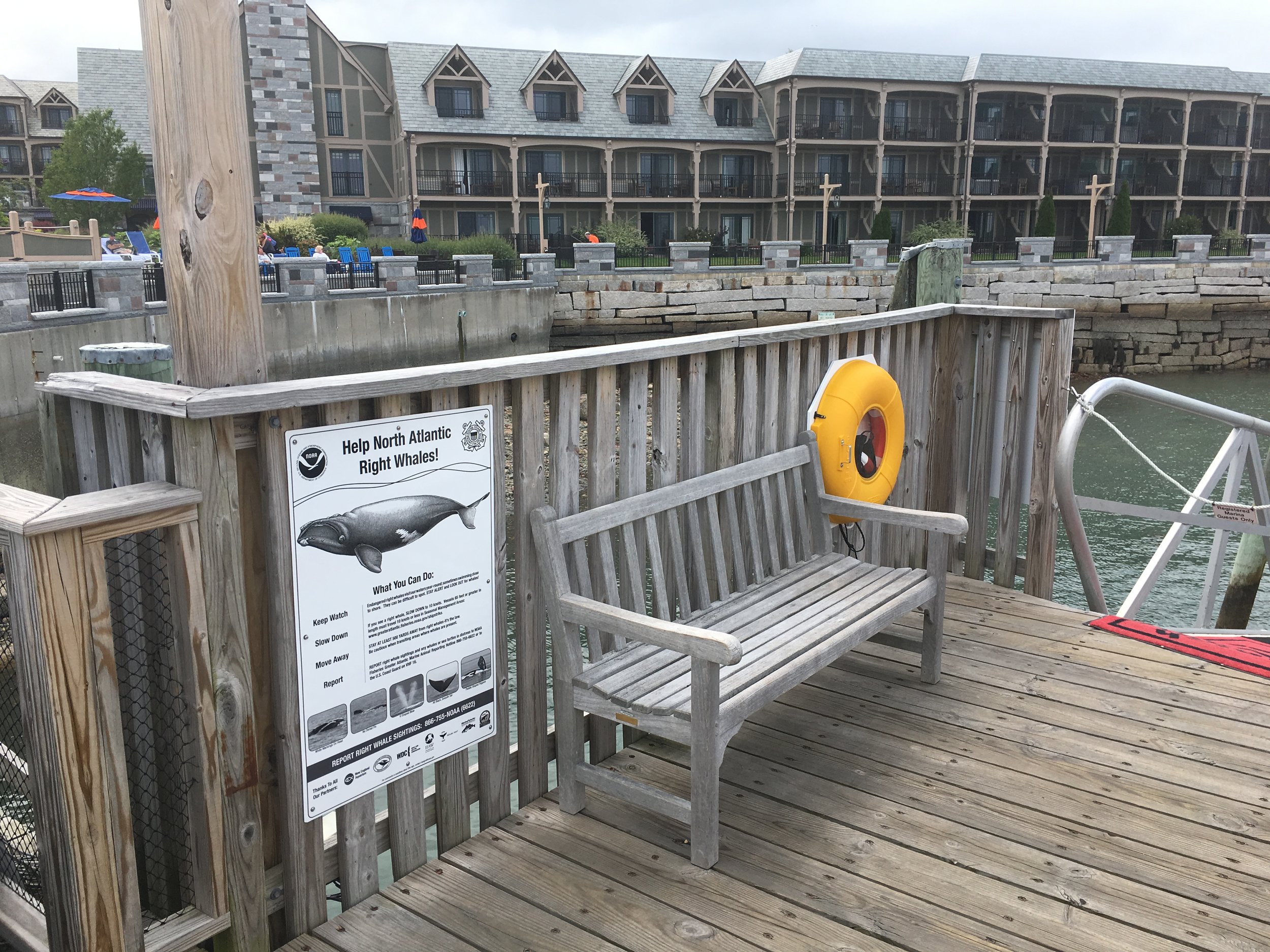 Harborside-Marina-Bar-Harbor-ME-2017-07-18-thanks-Zack-Klyver-4682.JPG