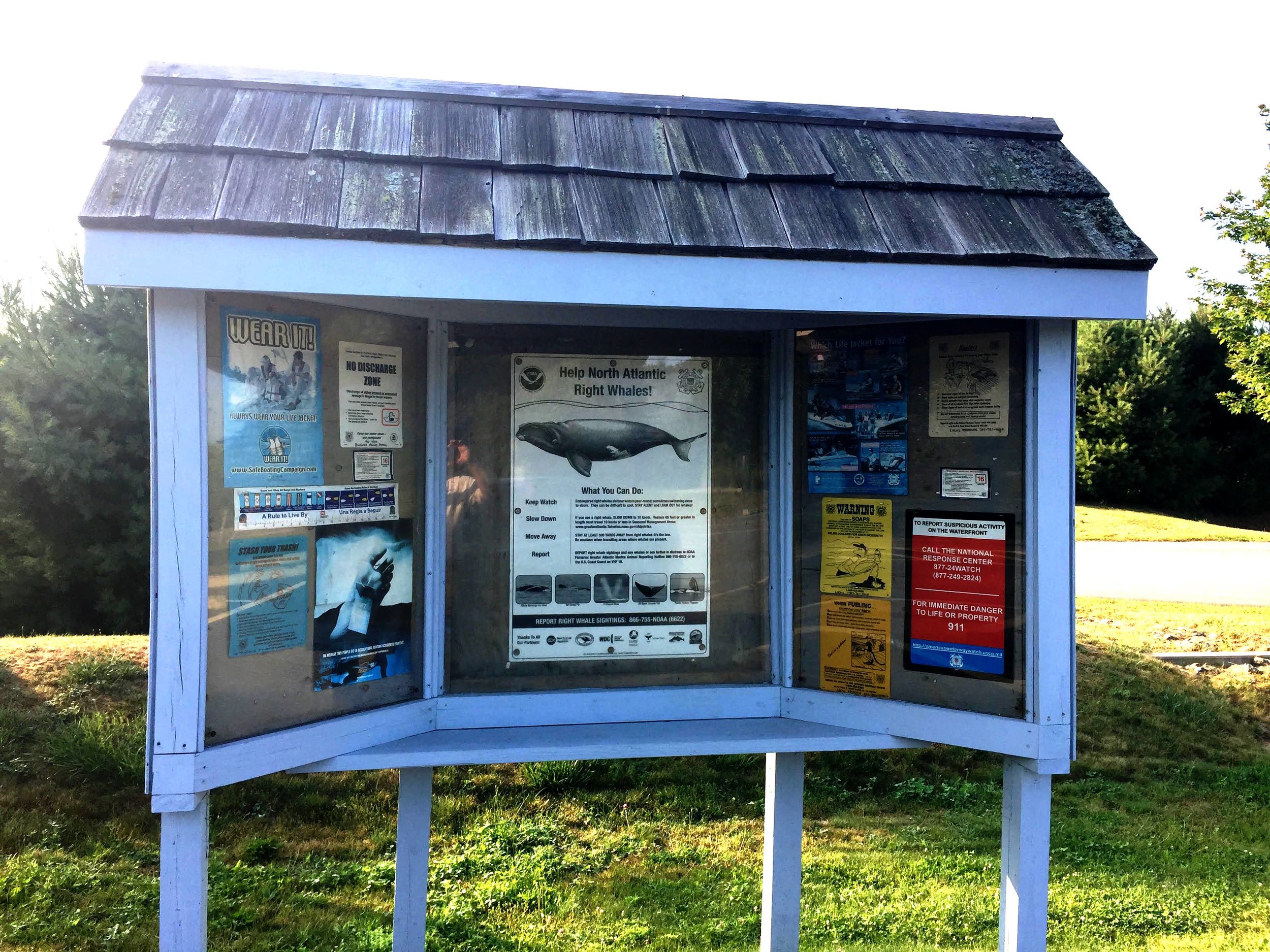 Mere Point in Brunswick, Maine