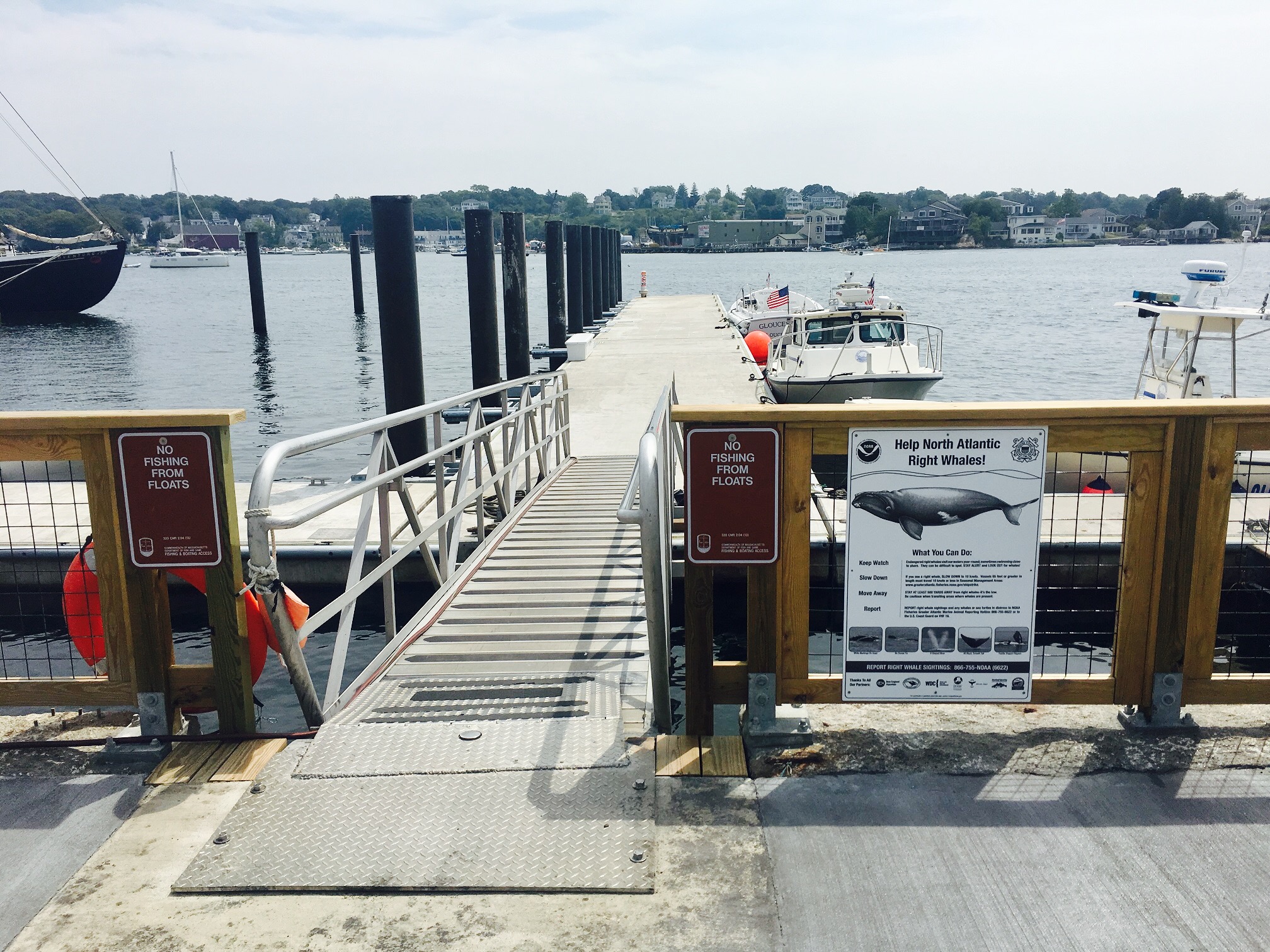 Harbor Loop in Gloucester, MA