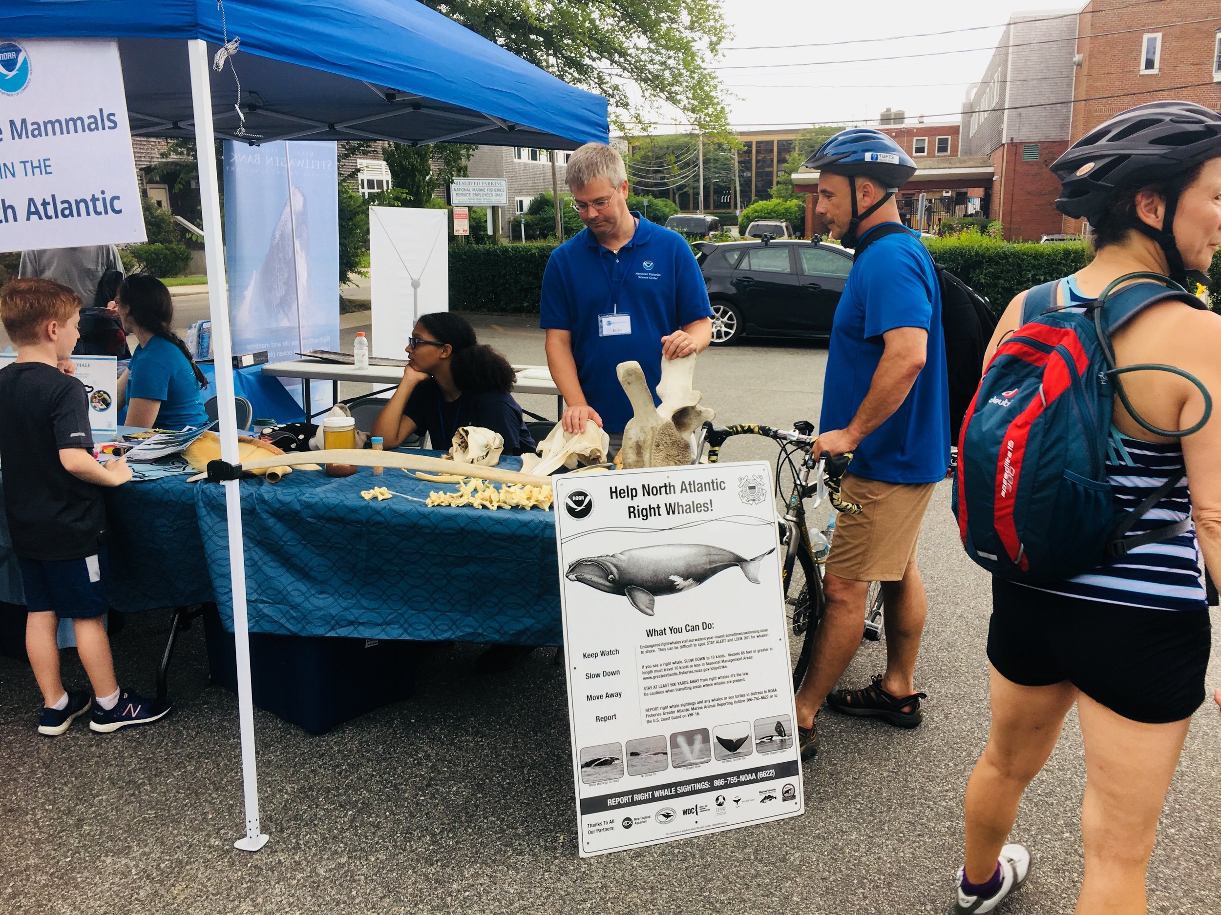 Right whale sign at Woods Hole Science Stroll