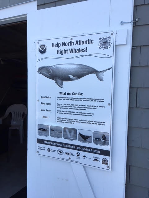 Right whale sign at Winter Harbor Yacht Club in Maine