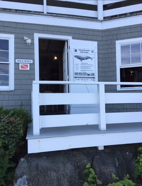 Right whale sign at Winter Harbor Yacht Club in Maine