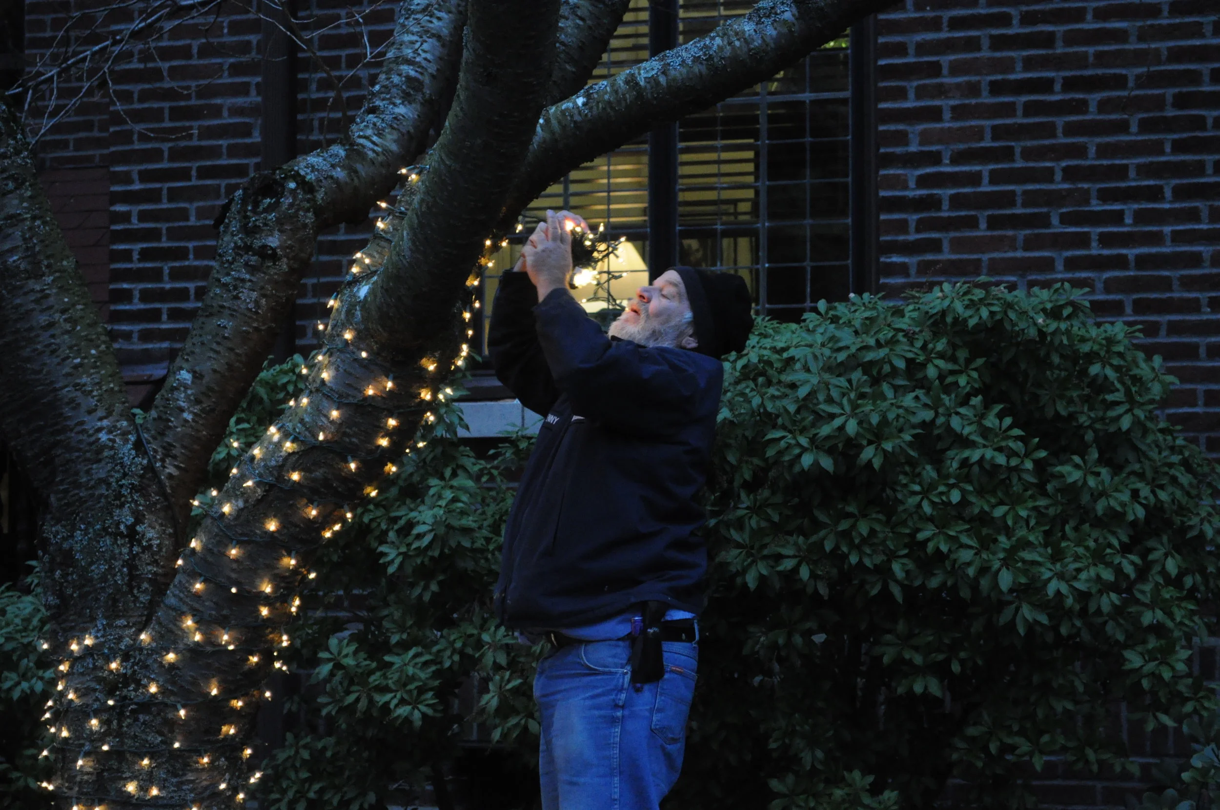 Crista_-_putting_up_Christmas_lights_01.jpg