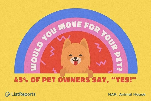 They&rsquo;re called fur babies for a reason, pets matter. What are the things you indulge in for your pets?
.
#furbaby #home #lovewhereyoulive #portlandrealestate #portlandrealtor #pdxrealestateagent