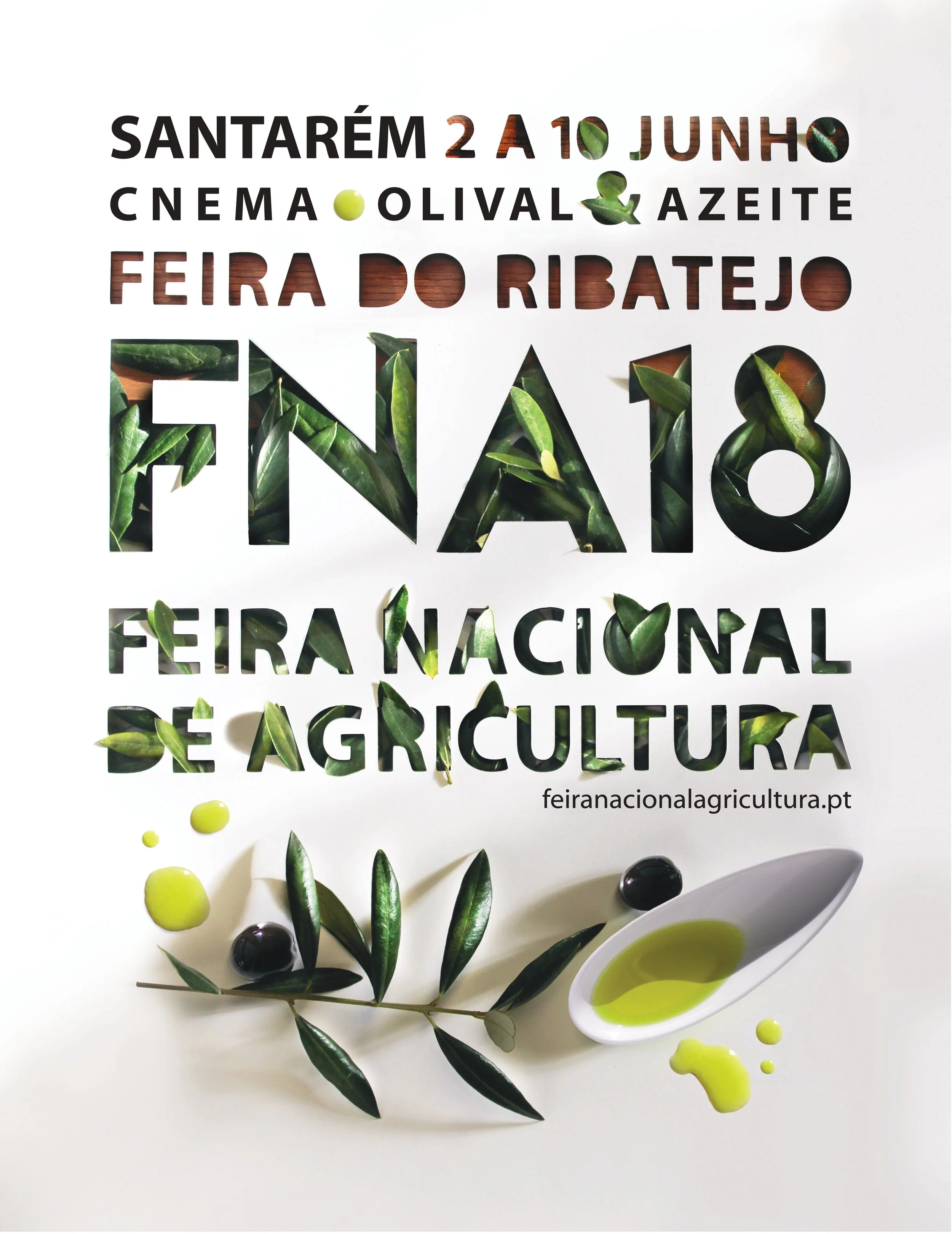 Cartaz-FNA18.jpg