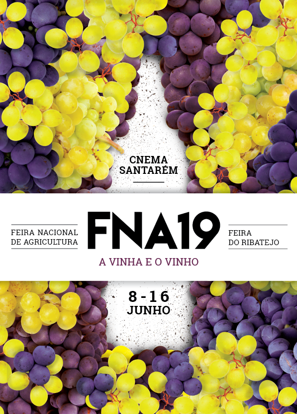 FNA2019 cartaz.png