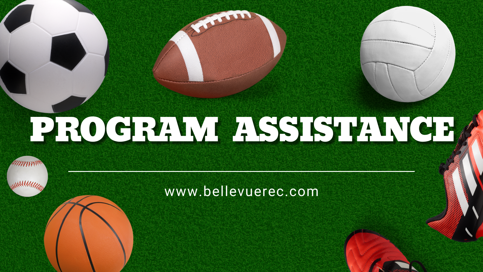 Program Assistance.png