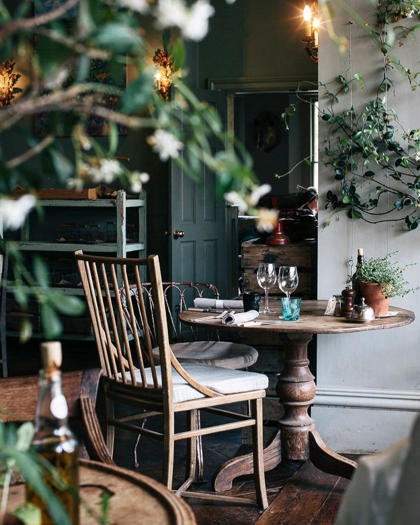 Bringing the outside in. I love the way @the_pig_hotels does it. Every time I visit I&rsquo;m taking notes on how to let plants grow wild, climbing up walls, and allowing nature to continue inside. Yesterday my parents arrived for a visit from Norway