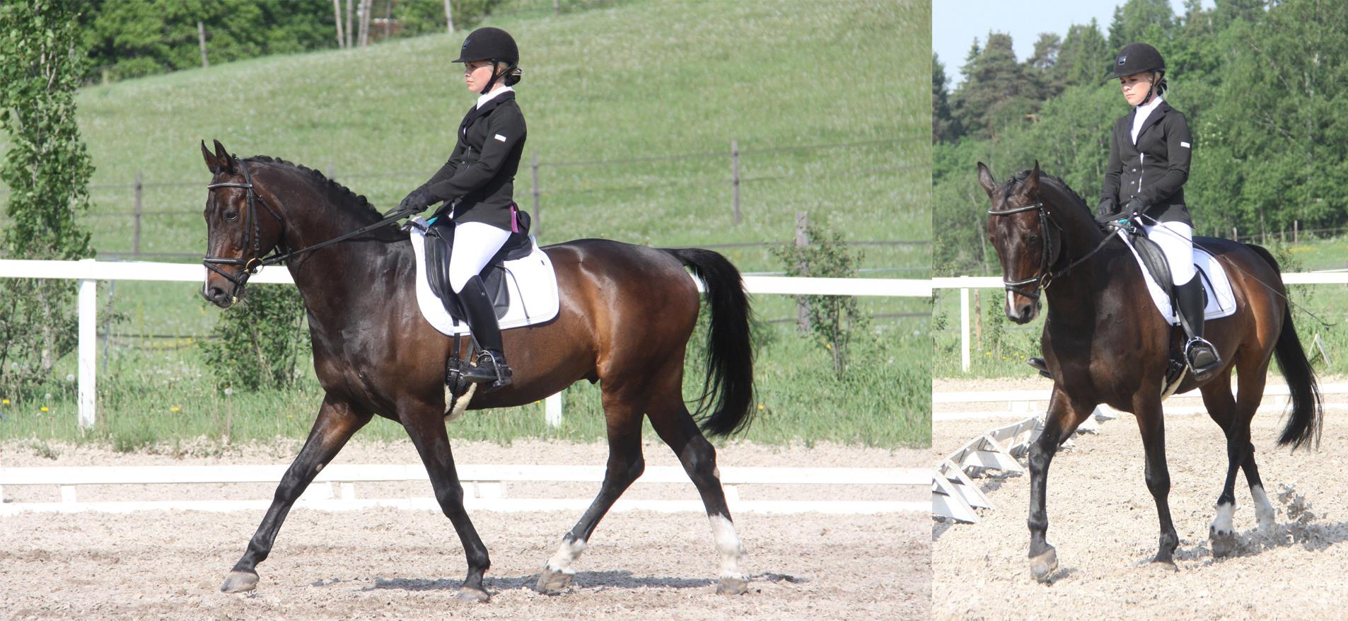 Me riding N.G. Cherokee, "Elmeri" 2.6.2013. Photos Kirsi Helenius