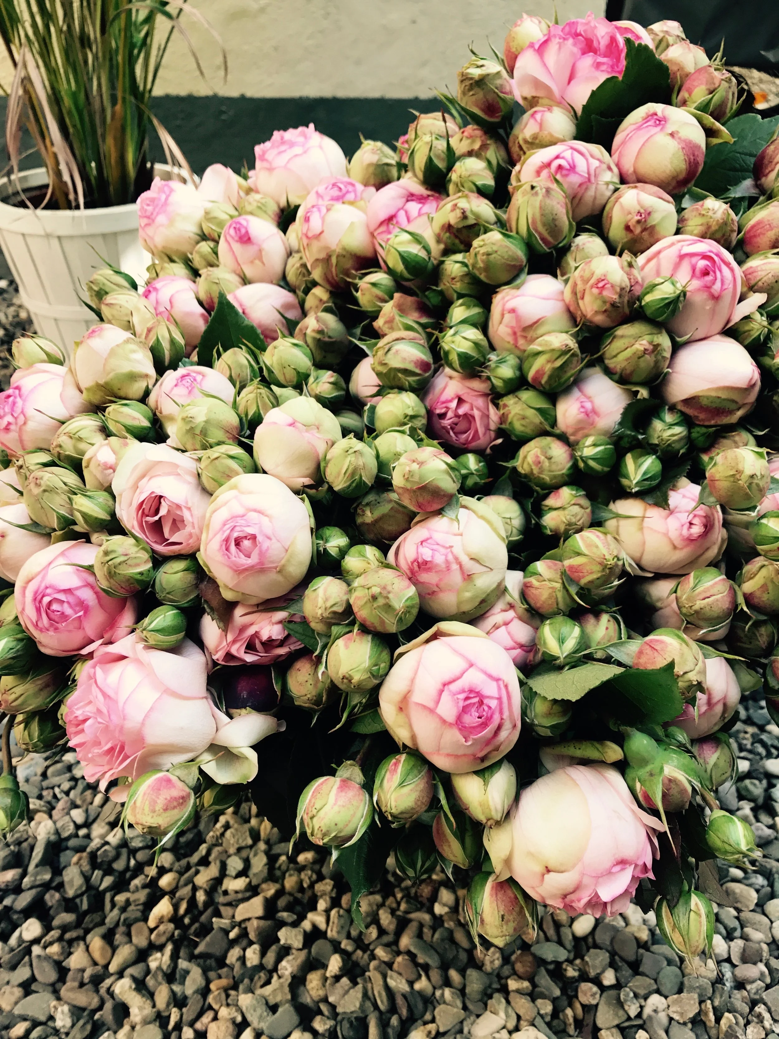 Pink flowers have always been very important in HoH. These were the flowers in the Spoga fall 2017.