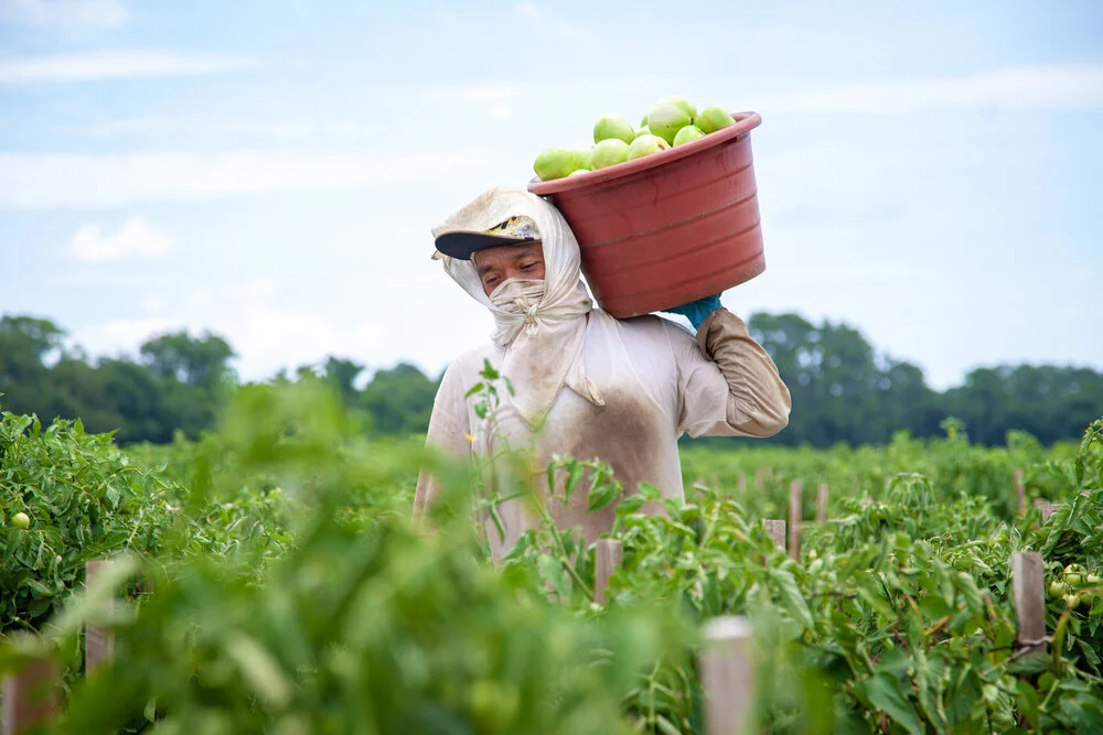 Fields_Short_Bucket.jpg