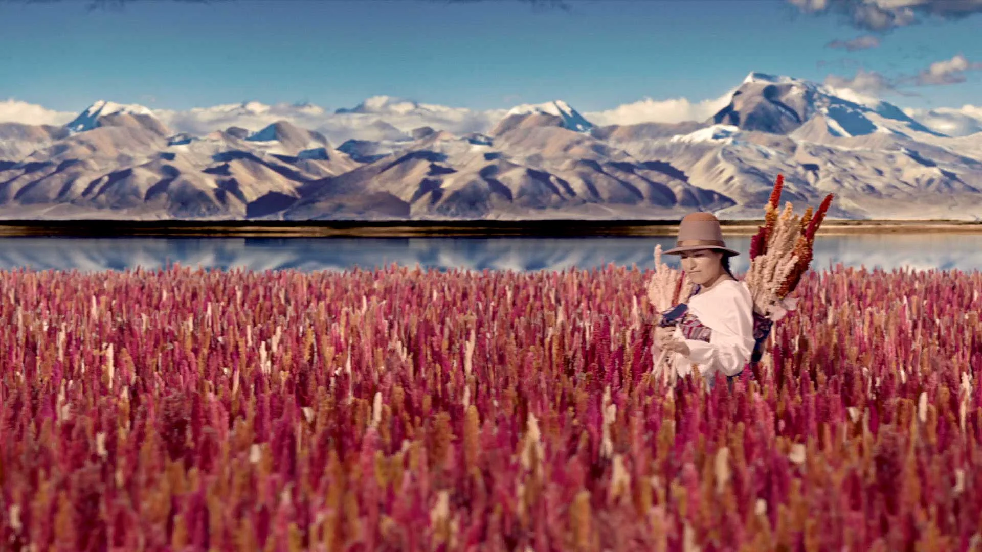 nspa-quinoa-01.jpg