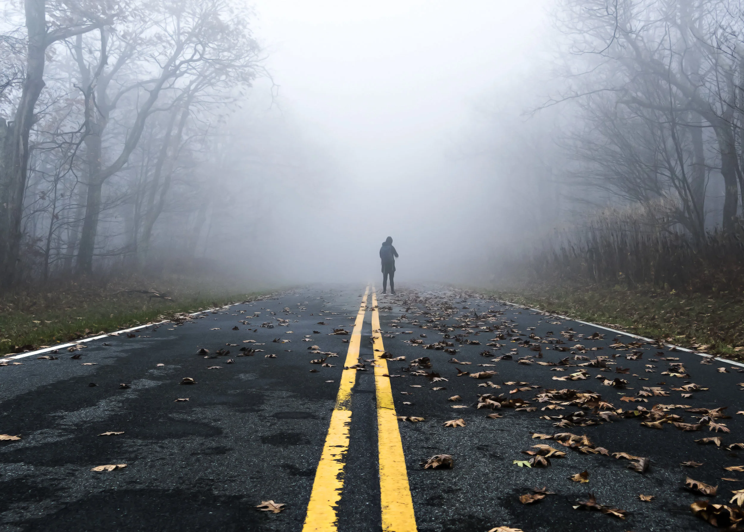 Angela Pan walking into the Fog to get the shot in Shenandoah National Park