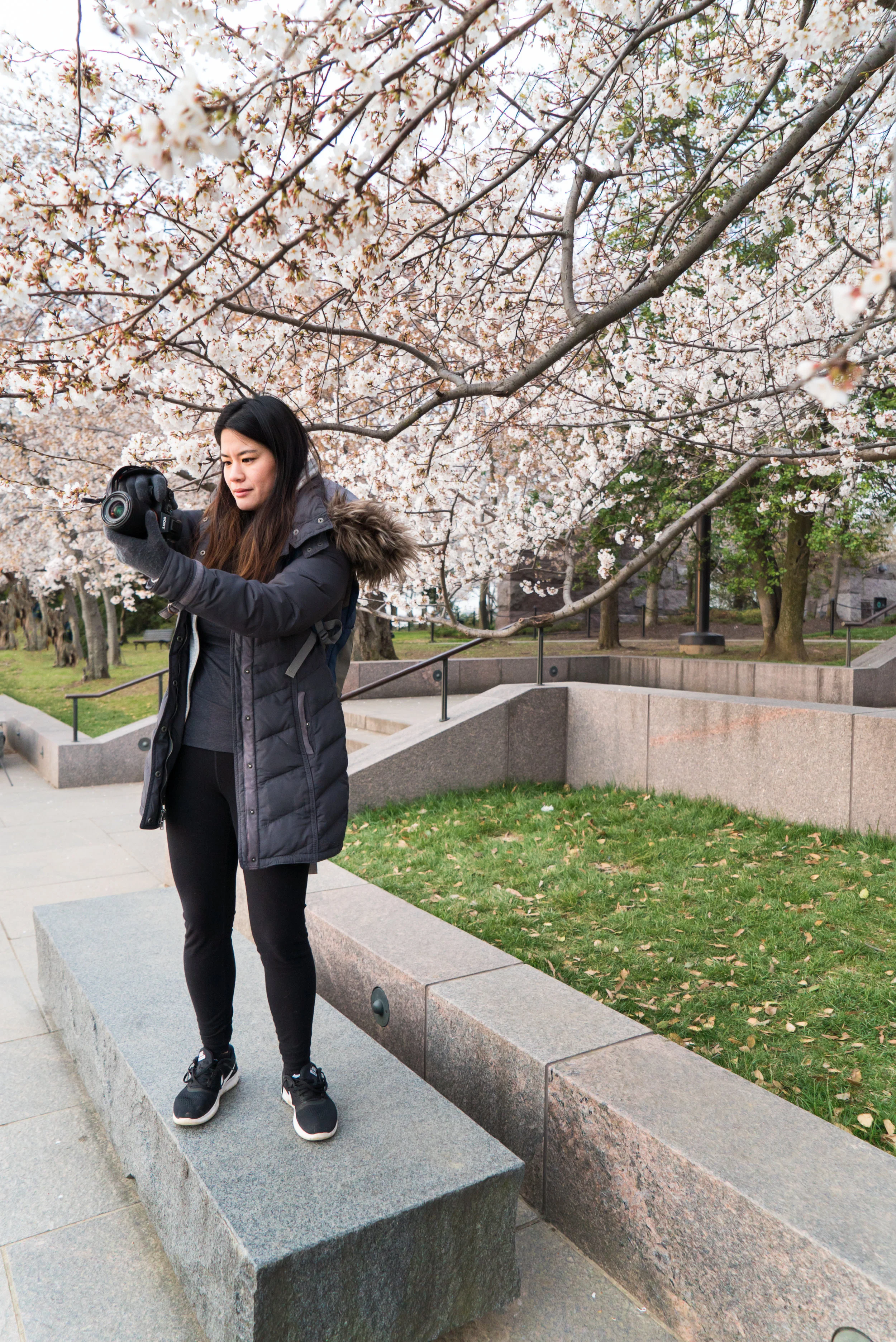 Environmental portrait is typically of a subject in their natural environment so this is very fitting because this is where Angela loves to be, in the middle of the Cherry Blossoms. #Sony A7SM2, F/4, 1/500th, ISO 640.