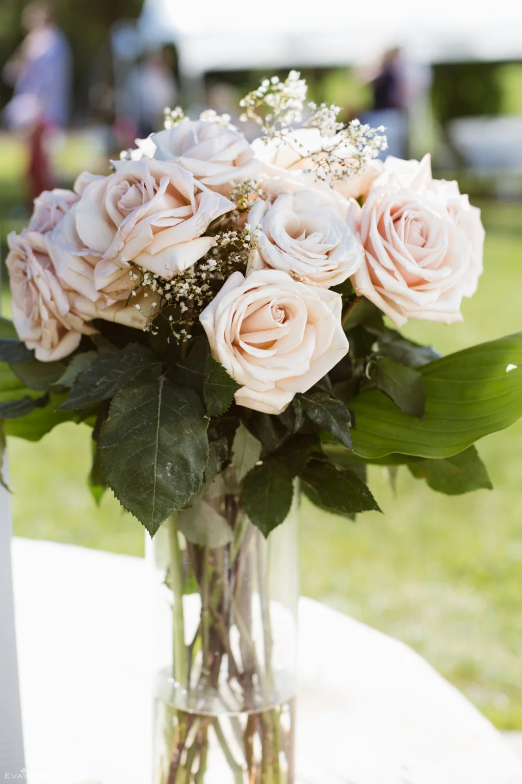 Pale Roses in Vase
