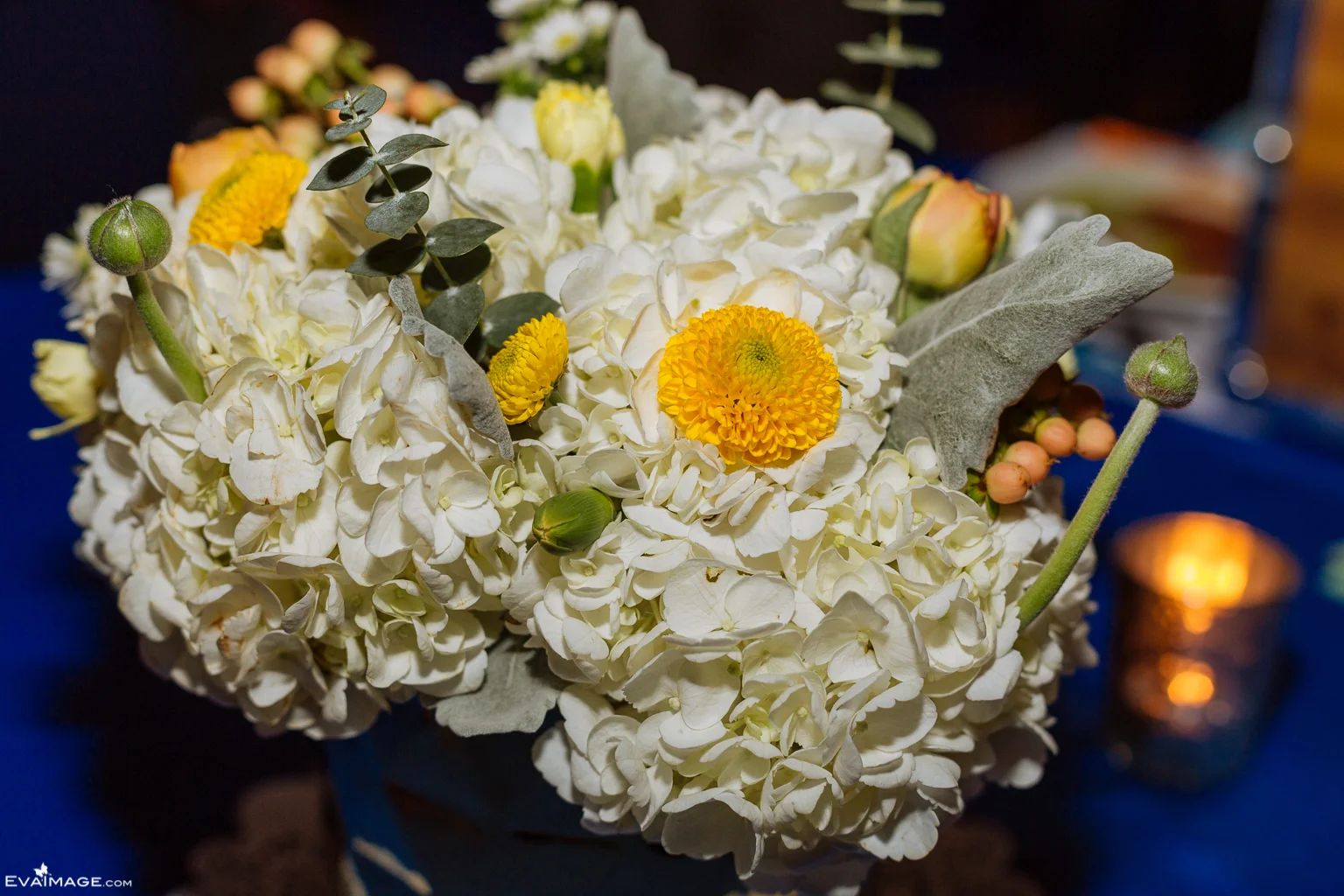 EvaImage Photography & Bisous Events