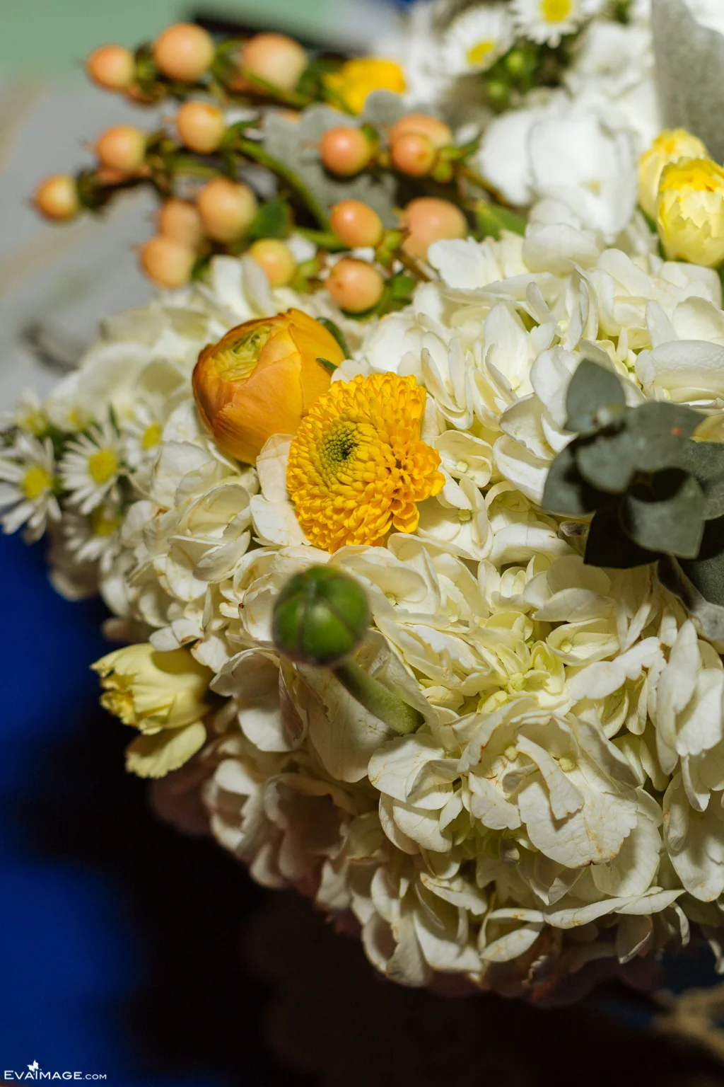 EvaImage Photography & Bisous Events