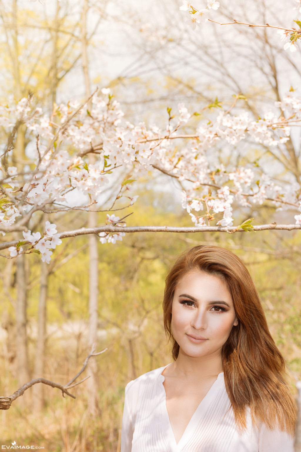  Cherry Blossom High Park Portrait 