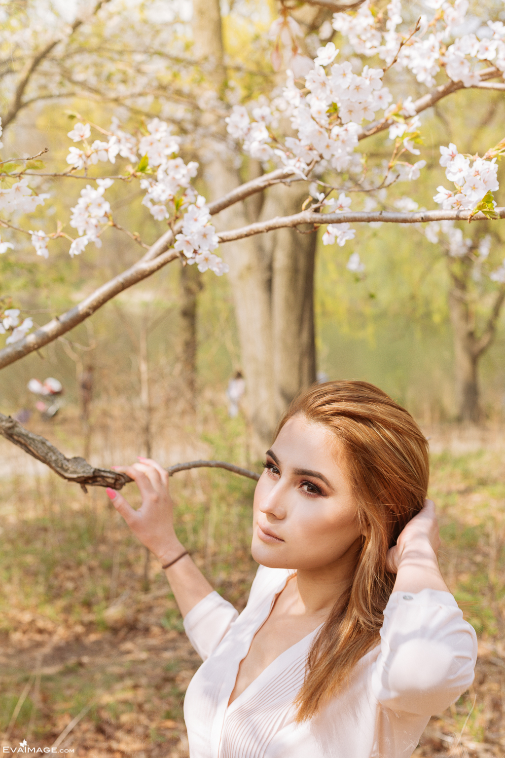  Cherry Blossom High Park Portrait 