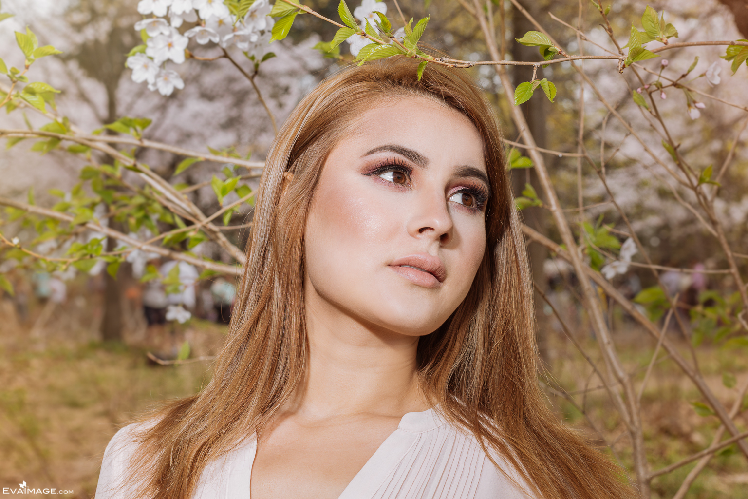  Cherry Blossom High Park Portrait 