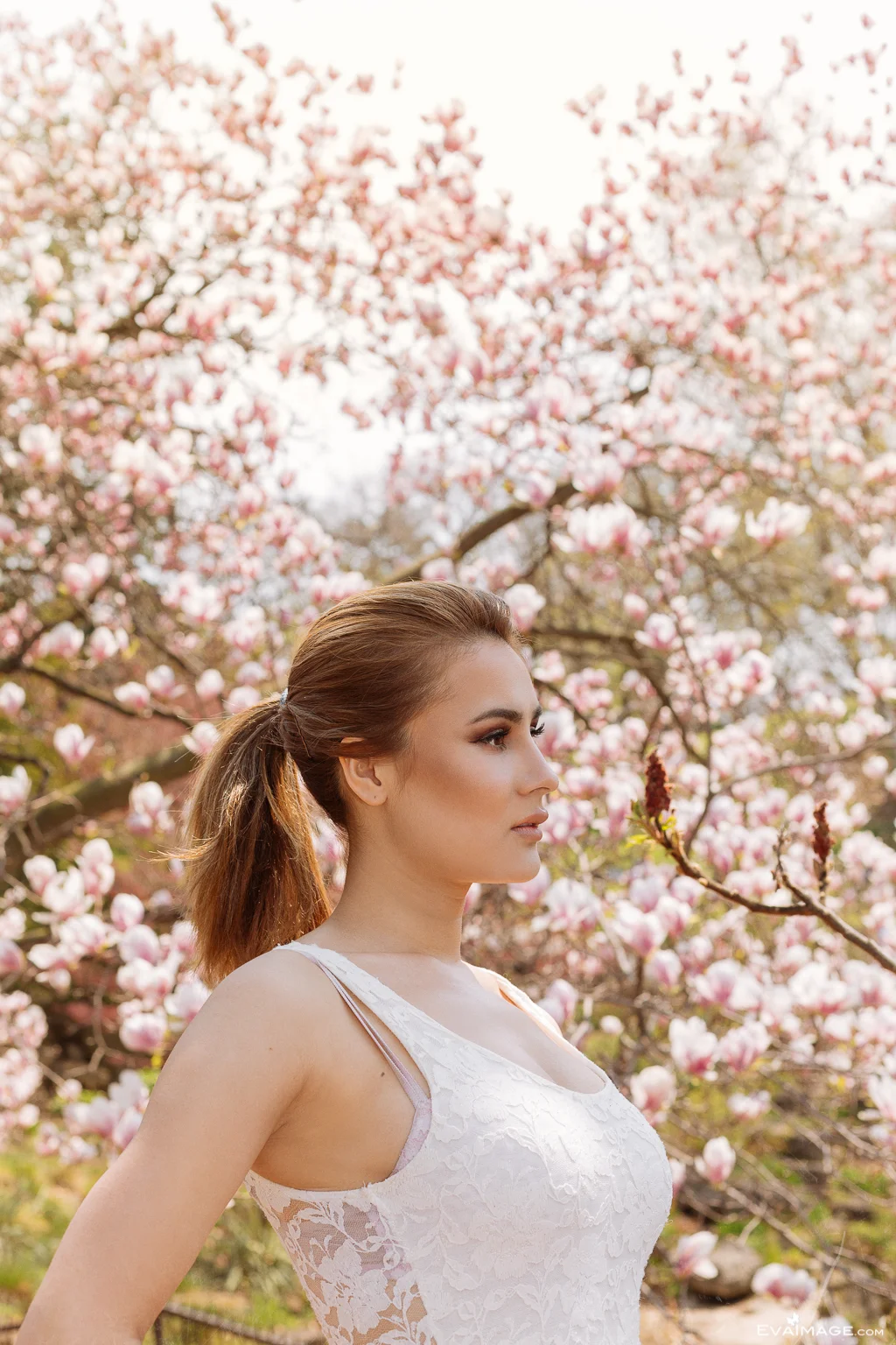 Cherry Blossom High Park Portrait