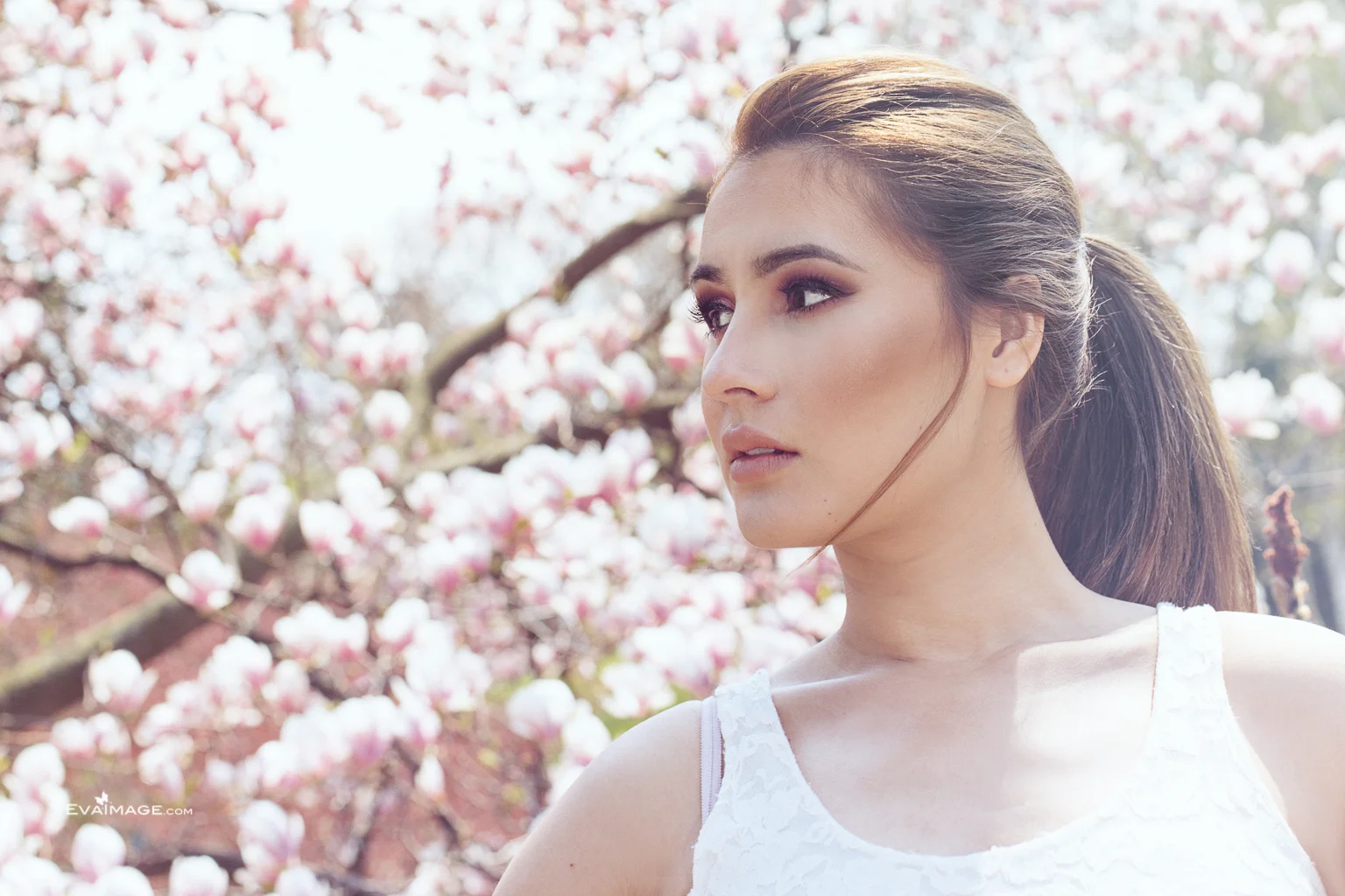 Cherry Blossom Engagement Portrait in High Park Toronto
