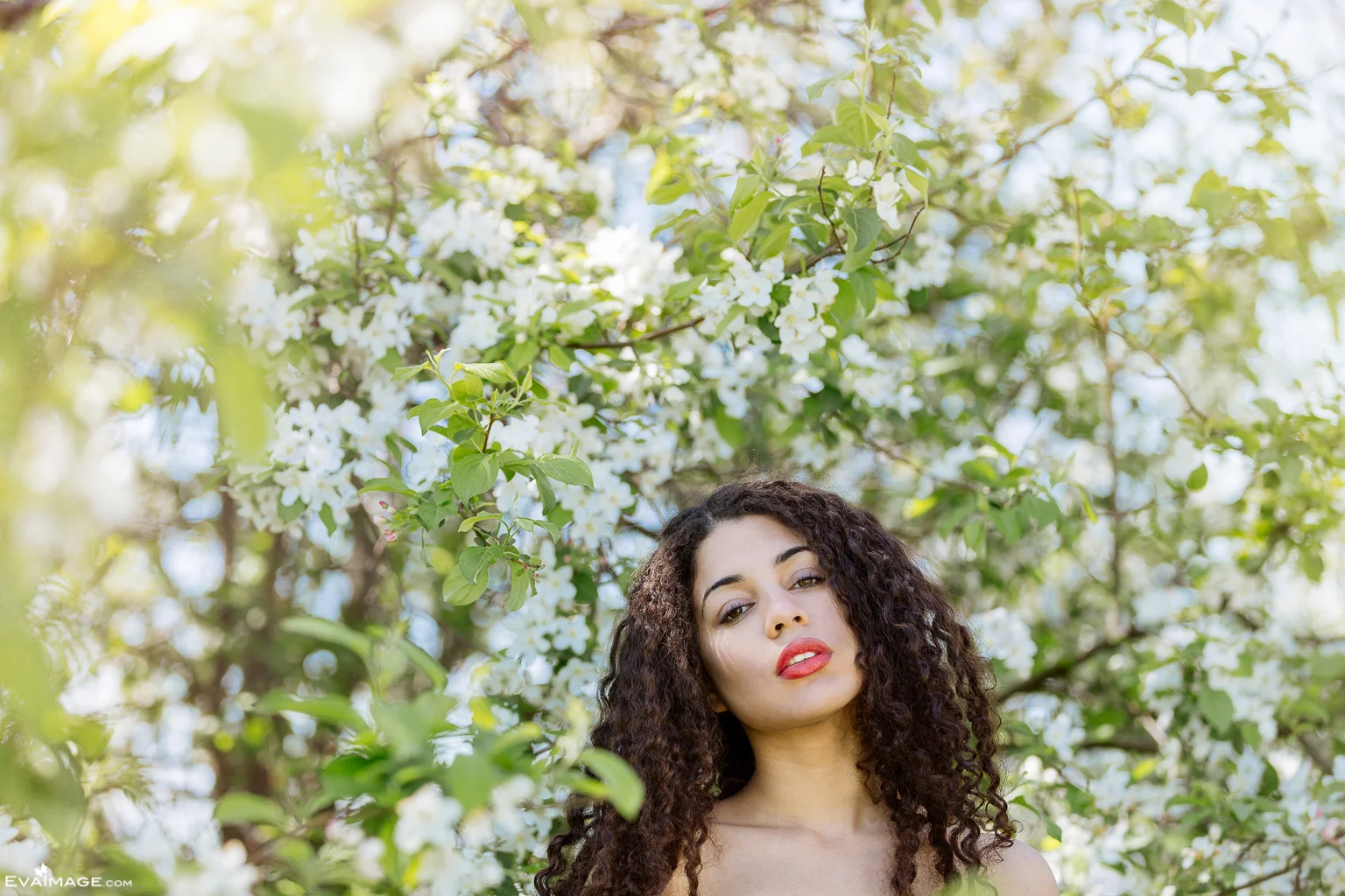 Apple Blossom Pine Point Park Toronto Portrait Photography