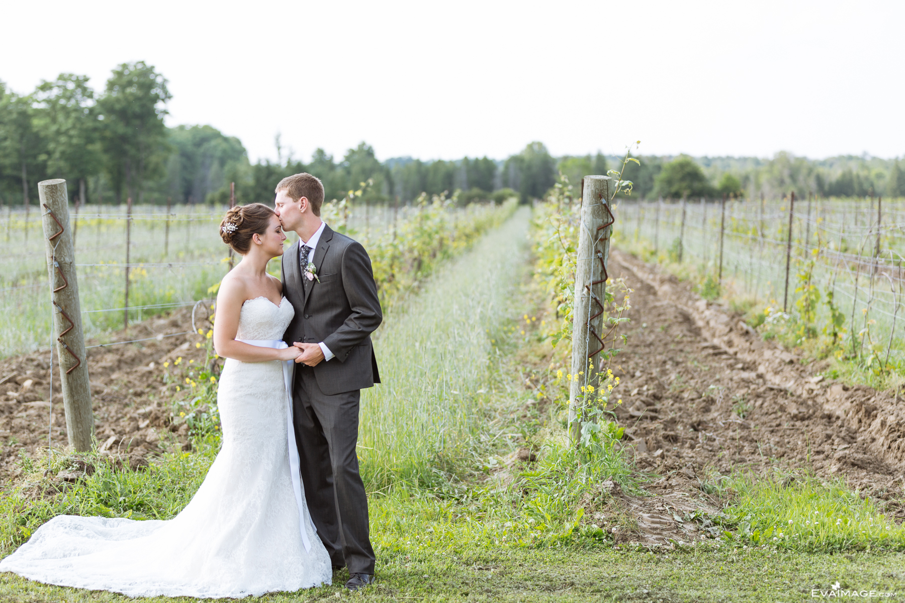 Willow Springs Winery Summer Wedding Stouffville