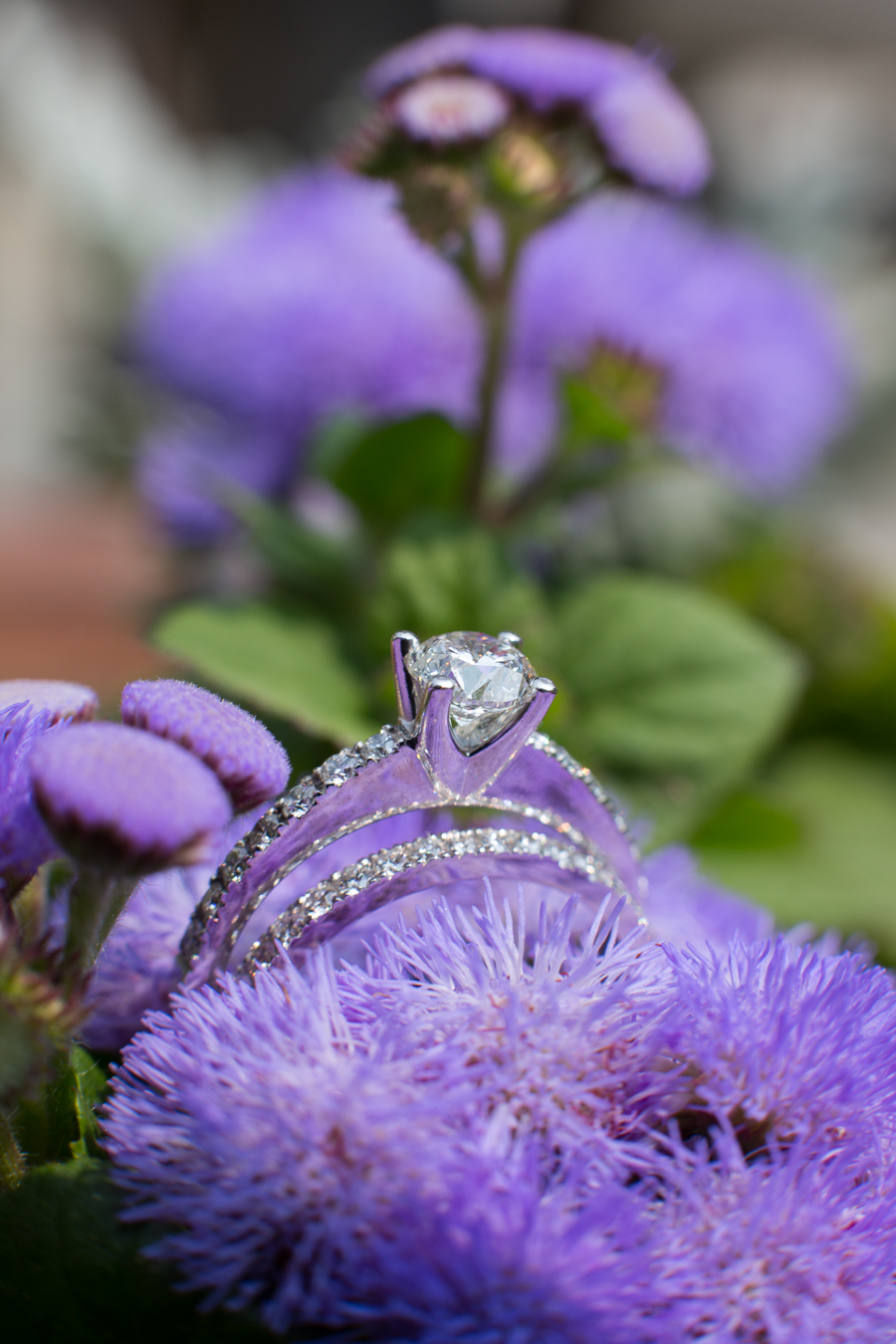  Willow Springs Winery Summer Wedding, Stouffville, Ontario: Hilary & Kevin, July 4, 2015 