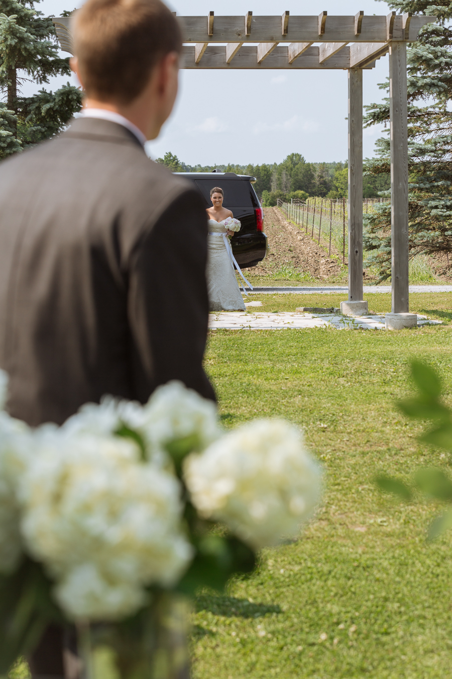  Willow Springs Winery Summer Wedding, Stouffville, Ontario: Hilary & Kevin, July 4, 2015 