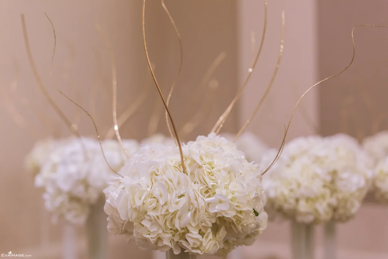 Arcadian Court Ryerson University Commerce Grad Gala 2016