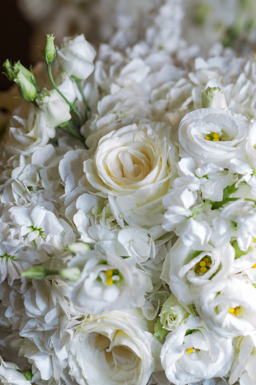 OMNI King Edward Hotel Summer Wedding Toronto