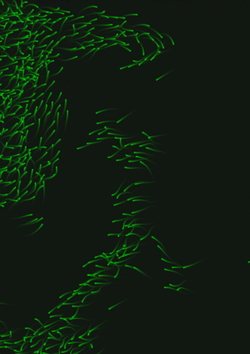 Screen Shot 2014-10-22 at 2.31.22 PM.png