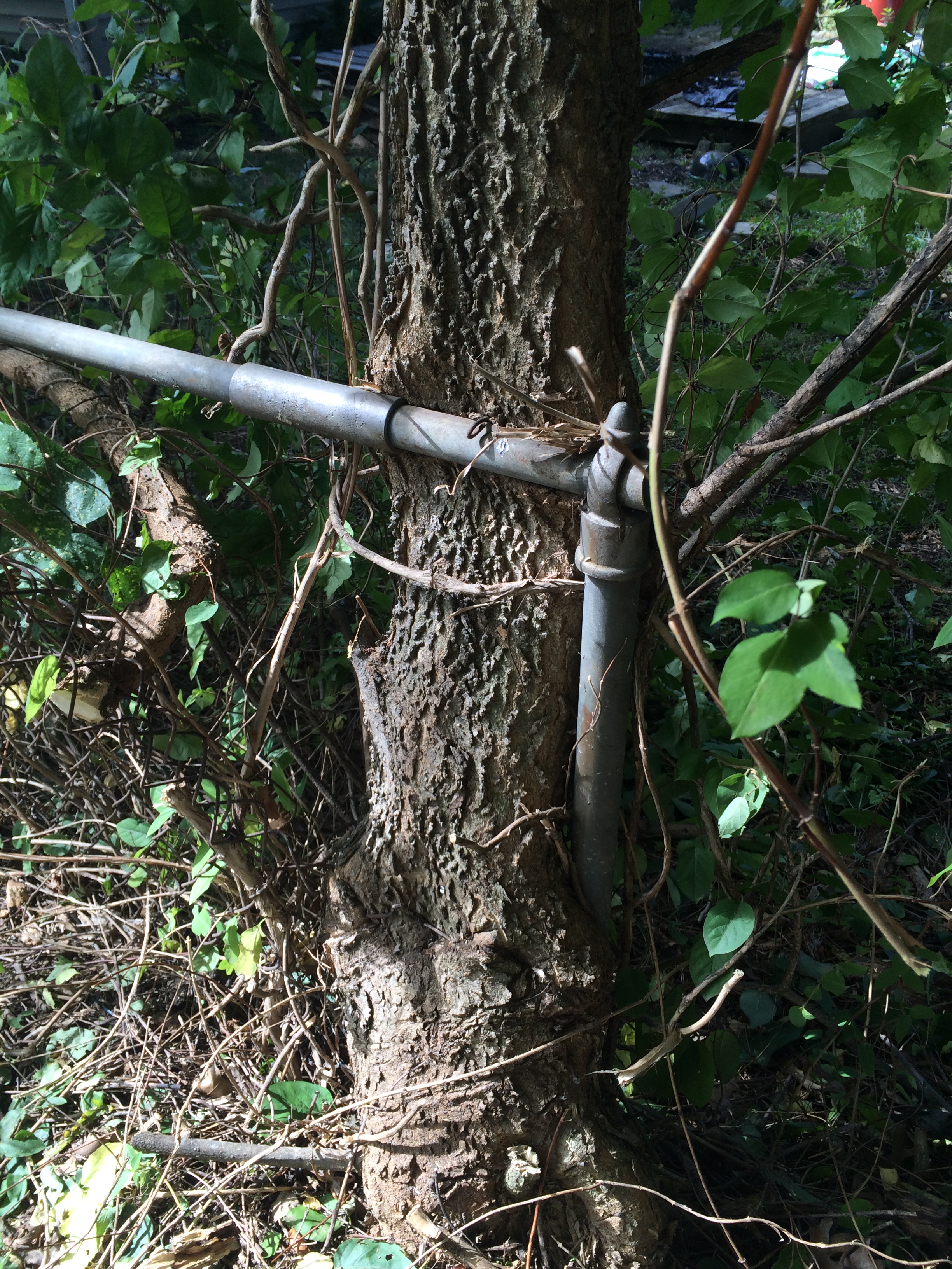 Might be a couple of decades of neglect. 