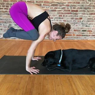 Another Bump in the Road