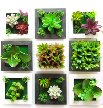  Come Create with Rock, Paper, Plant   Living Wall Hangings    September 22 at 1pm  