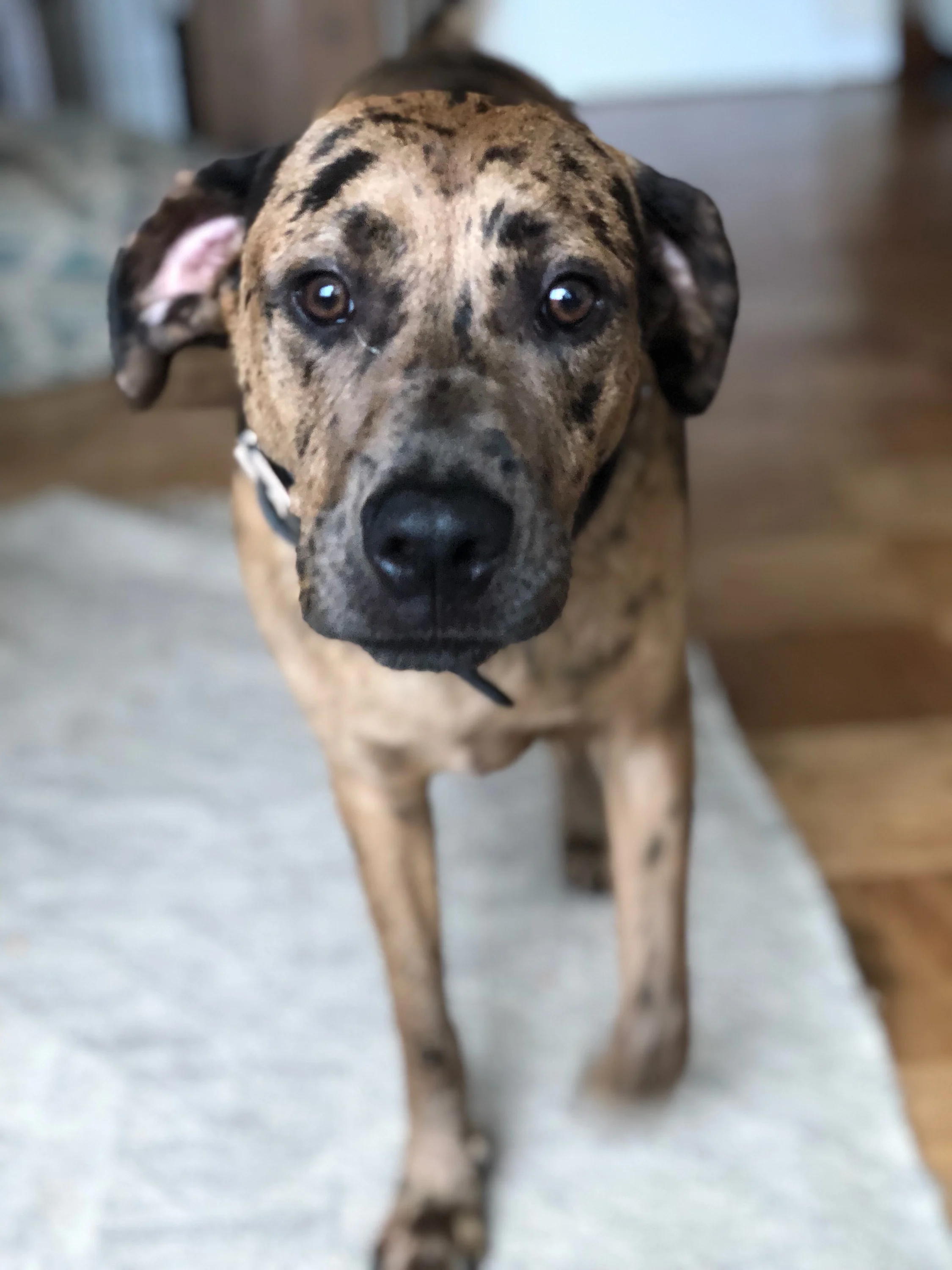 Manager Spotlight: Stephanie King!