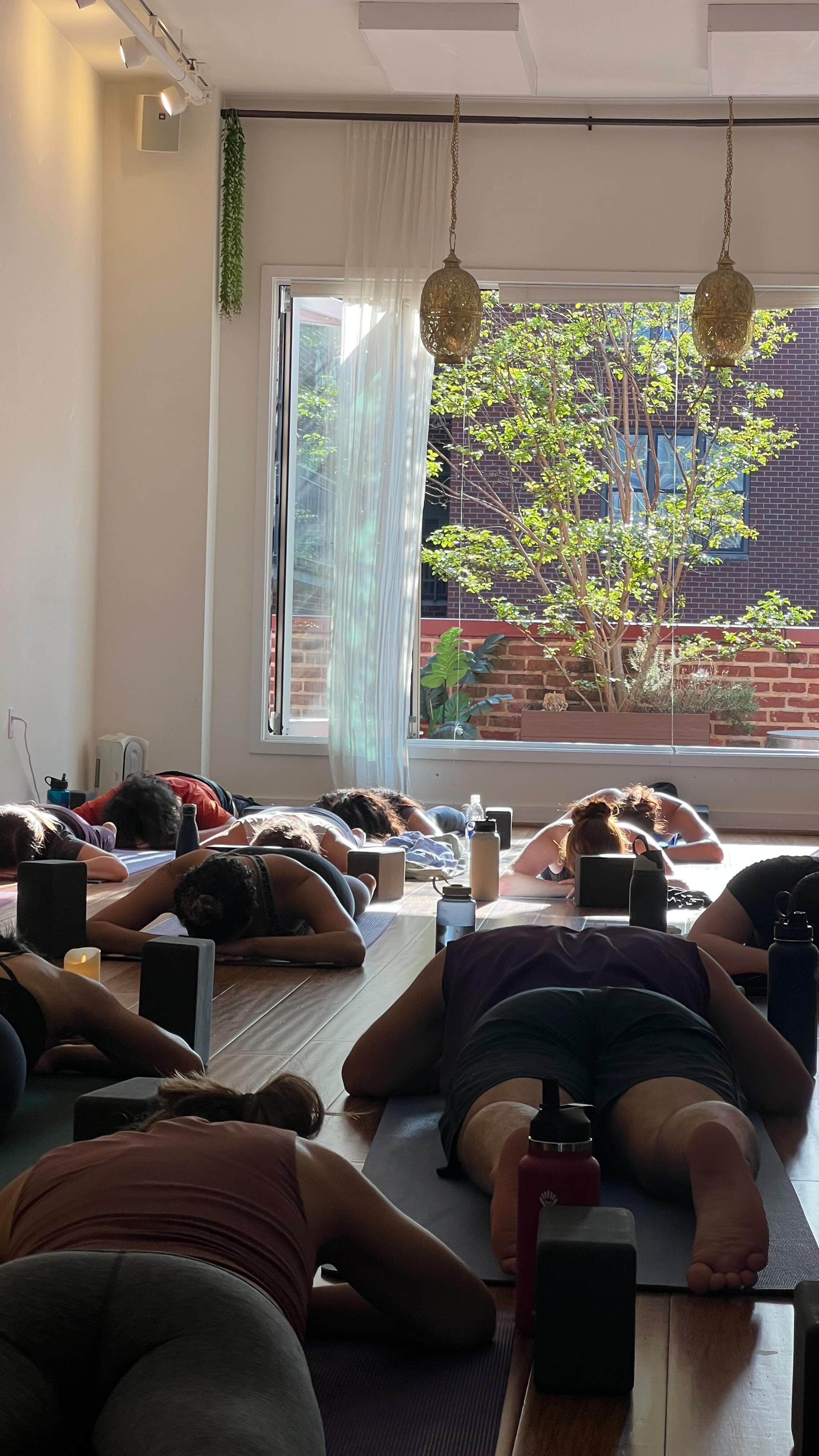 Yoga in Washington, DC | Best Yoga Studios Near Me | Flow Yoga Center