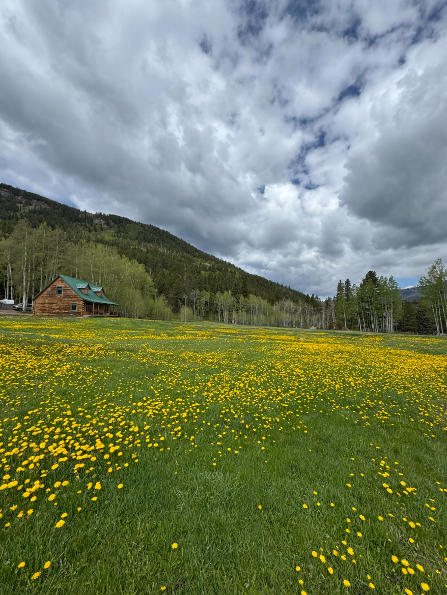  with Shawn   Colorado | A Yoga and Meditation Retreat&nbsp;    Learn More!  