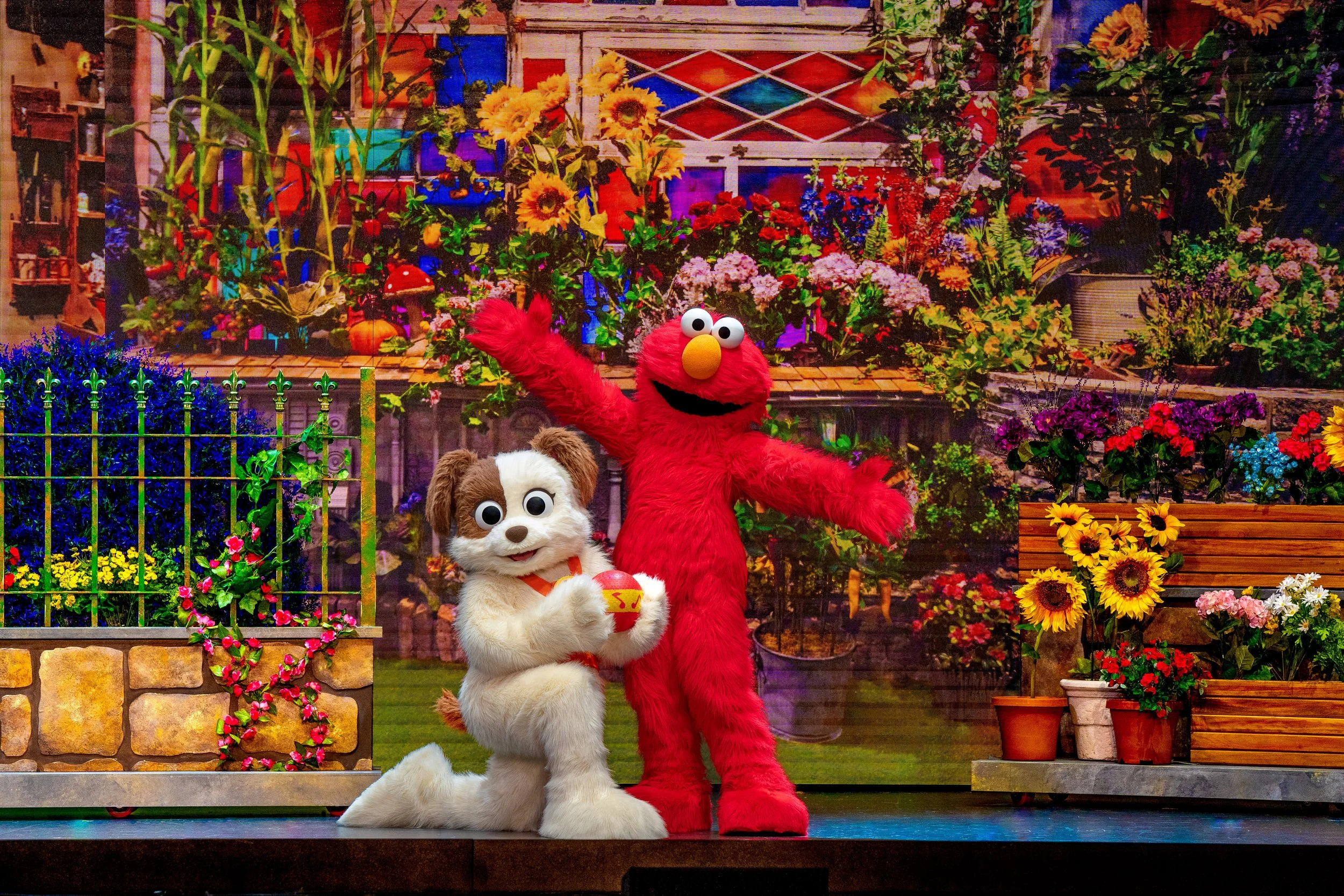 SESAME STREET LIVE! SAY HELLO