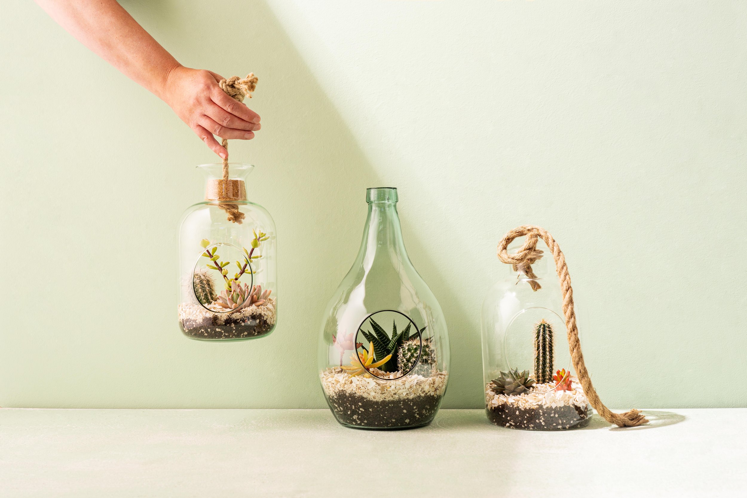 Terranium016.jpg