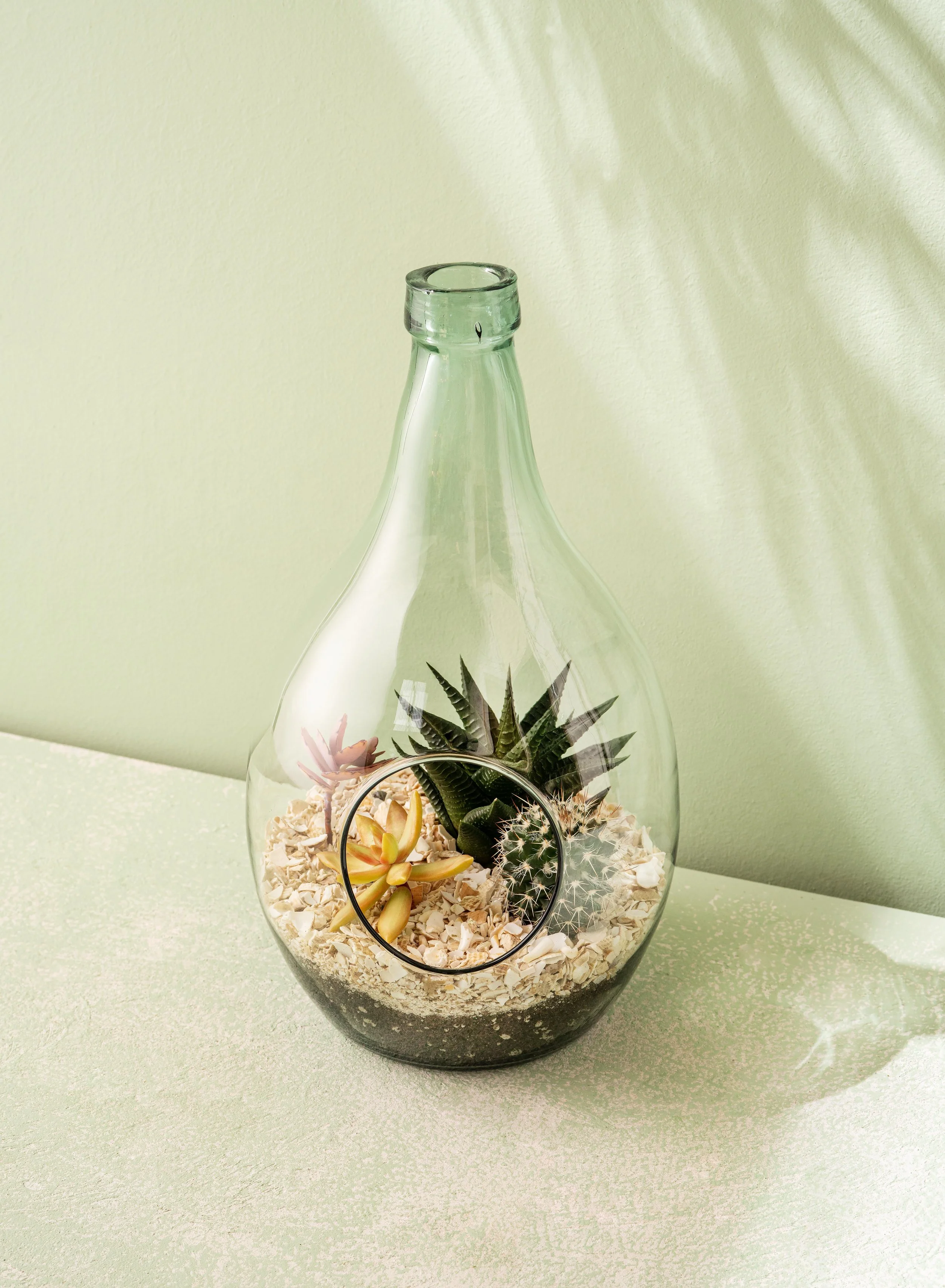Terranium007.jpg