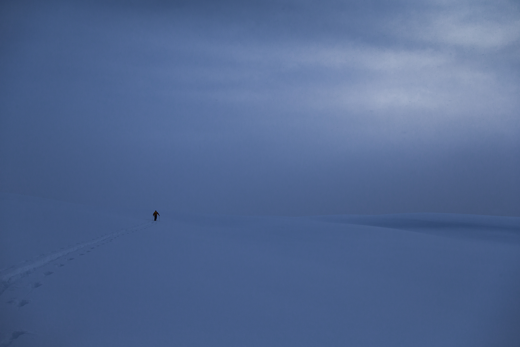 20160117_purcell_6386.jpg
