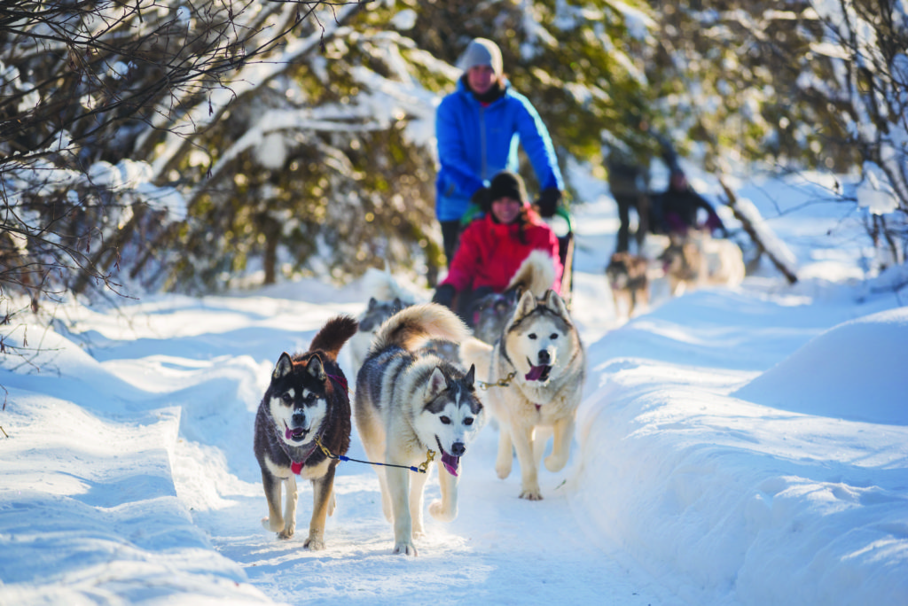 0287_Traîneau_à_chien_Dogsled_ride_Sg3Eltgusyz3c-S8dV9Dk0t18q0ABlZBh_cmyk_l-1024x684.jpg